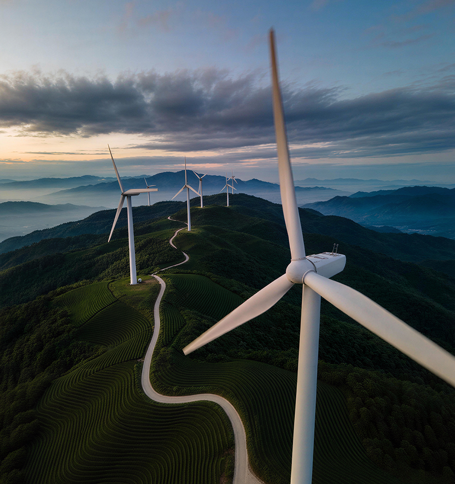 Wind farm connected to the power grid